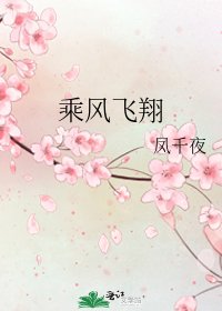 乘风飞翔