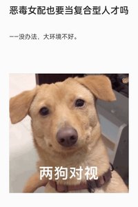 《惡毒女配也要當複合型人才嗎》